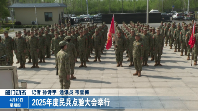 2025年度民兵点验大会举行