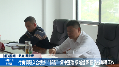 付勇调研久合垸乡“群腐”集中整治 镇域经济 防汛抗旱等工作