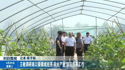 王敏调研南口镇镇域经济、农业产业、防汛抗旱工作