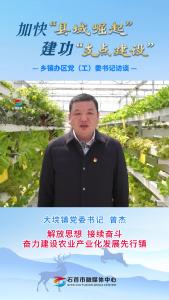 大垸镇访谈.mp4