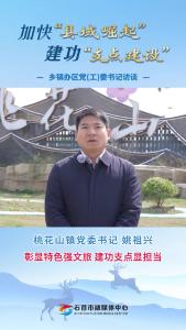 25.3.18加快“县域崛起”“建功“支点建设”乡镇办区党(工)委书记访谈丨桃花山镇党委书记姚祖兴：彰显特色强文旅 建功支点显担当.mp4