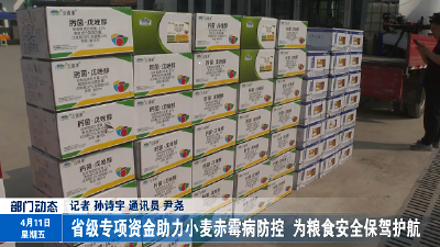 省级专项资金助力小麦赤霉病防控  为粮食安全保驾护航