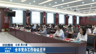 全市党办工作会议召开