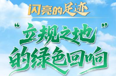 闪亮的足迹|“立规之地”的绿色回响