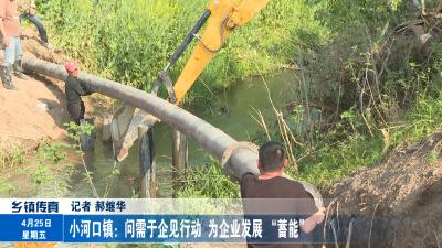 小河口镇：问需于企见行动  为企业发展 “蓄能”
