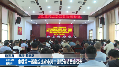市委第一巡察组巡审小河口镇联合动员会召开