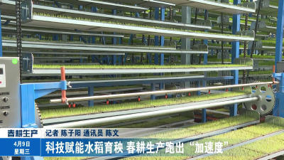 科技赋能水稻育秧 春耕生产跑出“加速度”