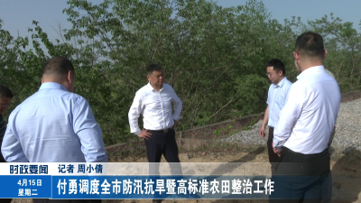 付勇调度全市防汛抗旱暨高标准农田整治工作