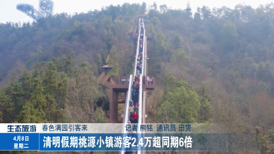 清明假期桃源小镇游客2.4万超同期6倍