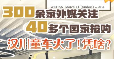 300余家外媒关注，40多个国家抢购，汉川童车火了！凭啥？