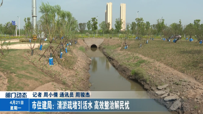 市住建局：清淤疏堵引活水 高效整治解民忧