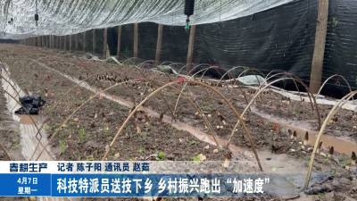 科技特派员送技下乡 乡村振兴跑出“加速度”