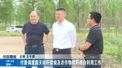 付勇调度露天秸秆禁烧及农作物秸秆综合利用工作