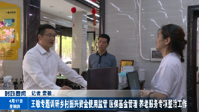 王敏专题调研乡村振兴资金使用监管 医保基金管理 养老服务专项整治工作