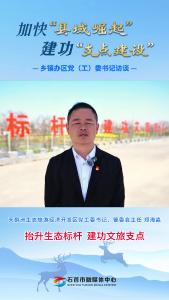 天鹅洲.mp4