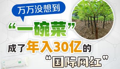 万万没想到，“一碗菜”成了年入30亿的“国际网红”