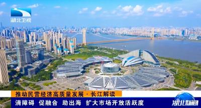 推动民营经济高质量发展·长江解读 | 清障碍 促融合 助出海 扩大市场开放活跃度