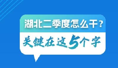 二季度怎么干？湖北锚定五个字！