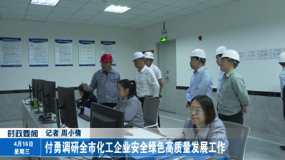 付勇调研全市化工企业安全绿色高质量发展工作