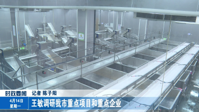 王敏调研我市重点项目和重点企业