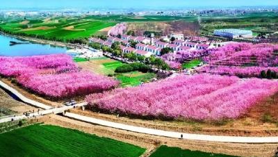 路通百业兴 道美万家富 ——襄阳“四好农村路”绘就乡村振兴新图景