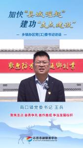 25.3.21加快“县域崛起”建功“支点建设”乡镇办区党(工)委书记访谈丨南口镇党委书记 王兵：聚焦支点 奋勇争先 善作善成 争当发展标杆.mp4
