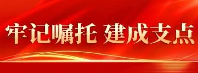 牢记嘱托 建成支点丨激活民营经济一池春水
