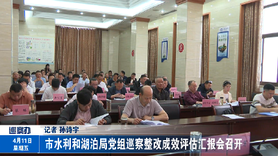 市水利和湖泊局党组巡察整改成效评估汇报会召开
