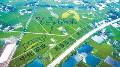 “绿”方法种出“金”果子——枝江市推进循环农业示范区建设