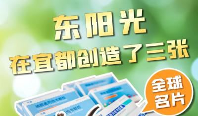 24年，投资240亿元！宜都东阳光“三驾马车”齐头并进的创新密码