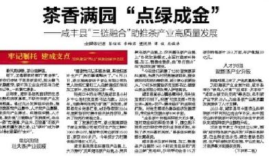 茶香满园 “点绿成金”——咸丰县“三链融合”助推茶产业高质量发展