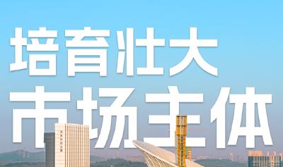 长江解读：提升民营经济贡献度有“三把钥匙”