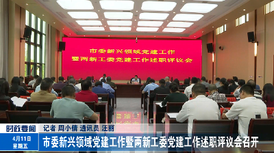 市委新兴领域党建工作暨两新工委党建工作述职评议会召开