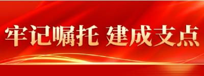牢记嘱托 建成支点︱未来之“光”照亮“一条链” 融合“一个生态”
