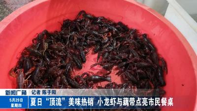 夏日“顶流”美味热销  小龙虾与藕带点亮市民餐桌