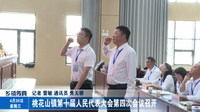 桃花山镇第十届人民代表大会第四次会议召开