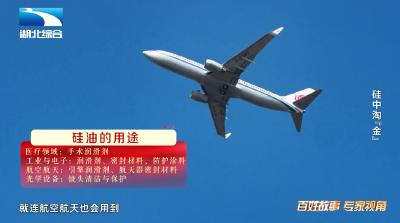 《是这个理》：硅中淘“金”