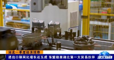 东盟稳居湖北外贸榜首四年 双向奔赴催生合作新空间