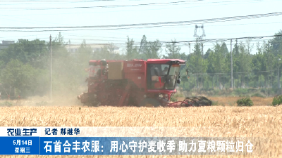 石首合丰农服：用心守护麦收季 助力夏粮颗粒归仓