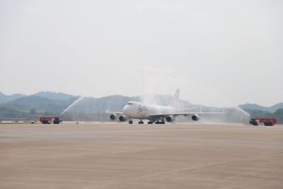 落子成势 ——写在花湖国际机场航线破百之际