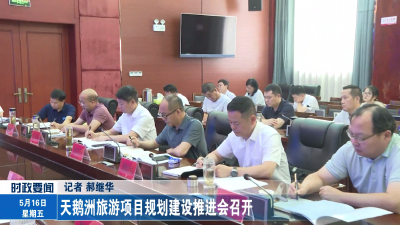 天鹅洲旅游项目规划建设推进会召开