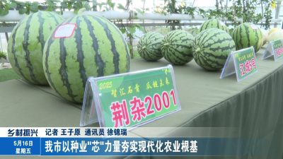 我市以种业"芯"力量夯实现代化农业根基