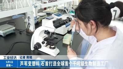 芦苇变塑料 石首打造全球首个千吨级生物制造工厂
