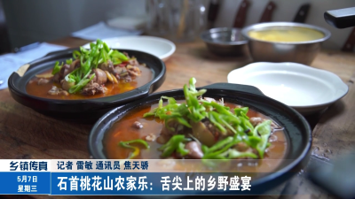 石首桃花山农家乐：舌尖上的乡野盛宴