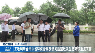 王敏调研全市中省环保督察反馈问题整改及生态环保重点工作