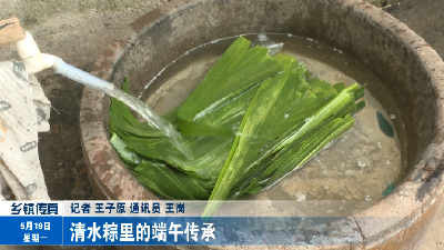 清水粽里的端午传承