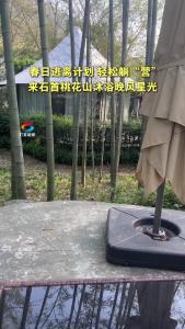 25.4.13营最好的季节来了！卷不动，不如躺“营”！以星空为幕，逃离城市灯火，享受一夜乌托邦！.mp4