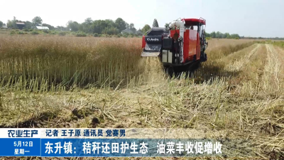 东升镇:秸秆还田护生态   油菜丰收促增收