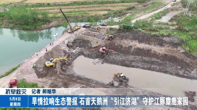 旱情拉响生态警报 石首天鹅洲“引江济湖”守护江豚麋鹿家园