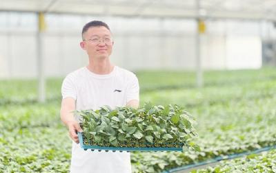 92%成活率+600万元增收——黄梅这家育苗工厂如何跻身全省前三？